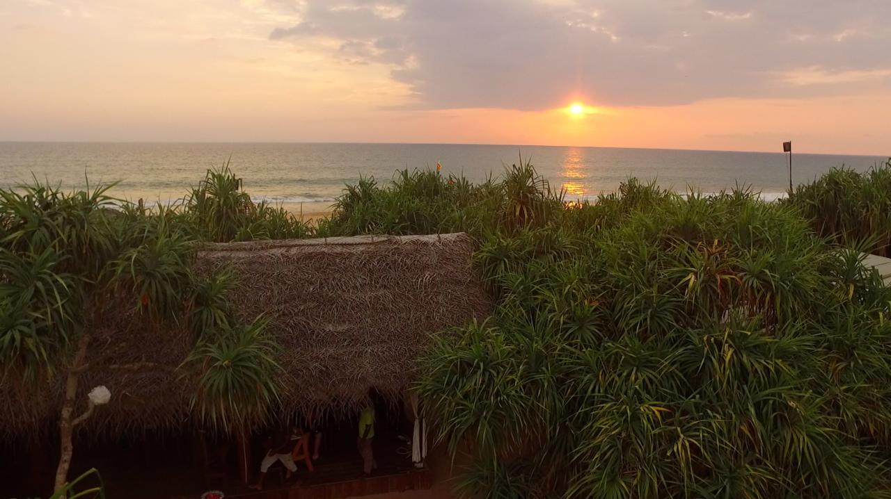 Jungle Beach Ahungalla Zewnętrze zdjęcie