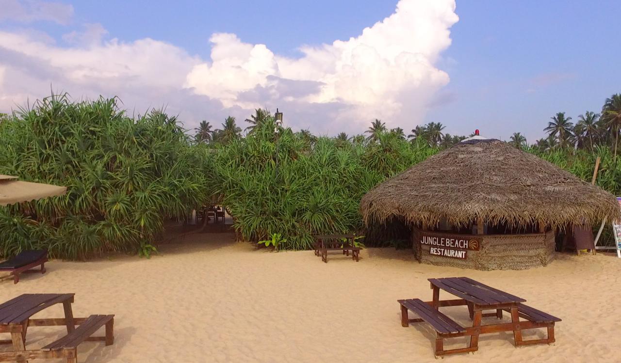 Jungle Beach Ahungalla Zewnętrze zdjęcie
